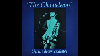 The Chameleons   Up The Down Escalator