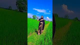 Tumake rakhu bukute /#reels /#treding /#shortvideo /#viralvideo /#trendingstatus