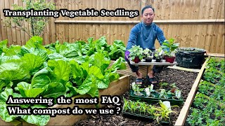 Transplanting Seedlings | Best Compost For Growing Vegetables | Garden centre tour | NepaliFamilyUK