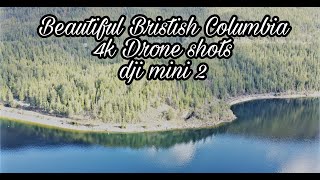 Beautiful British Columbia in 4k drone shots | dji mini 2 | ysay dale