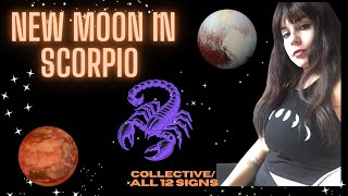 NEW MOON IN SCORPIO - NOVEMBER 1 2024 | ALL 12 SIGNS