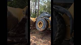 Tree Removal After  Hurricane 🌀 🌲