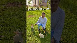 Pure love 🤍#animalshorts #animallover #unconditionallove #rabbit #petlover #youtubeshorts