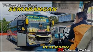 ANDALAN JAM PAGI🔥TIDAK KALAH DENGAN PAWANG PELURU MALAM||Trip Sugeng Rahayu 7480 peterson