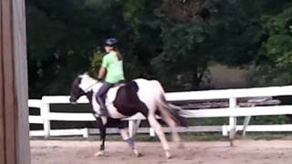 First Canter 20 m Circle