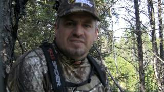 Episode 2 Terry Meiners Cinnamon Black Bear and friend Kal Stokes IL Whitetail