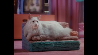 National Bank of Greece 'KNITTING' TVC