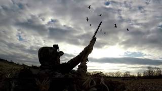 Corn field goose hunt -small decoy rig