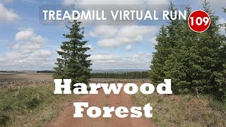 Treadmill Virtual Run 109: Harwood Forrest, Northumberland, UK