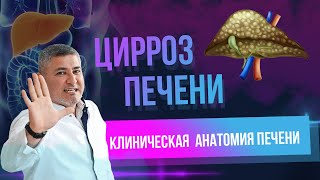 Цирроз печени. Клиническая анатомия