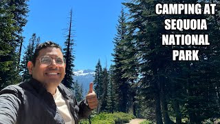 CAMPING VLOG | Sequoia National Park