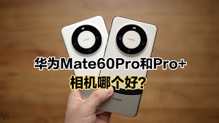 华为Mate60 Pro和Pro+相机对比：拍照哪一个更好？