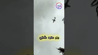 السبب وراء تحطم طائرة البرازيل