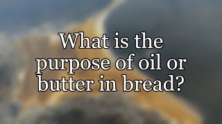 What is the purpose of oil or butter in bread?