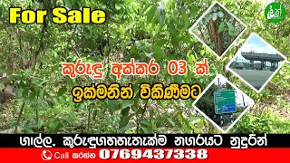 3 Acres Tea Estate for Sale - Contact : 0769437338 -  LAK ADS