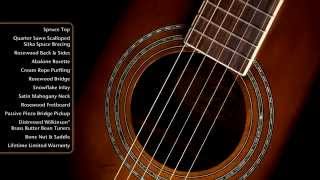 Washburn WJ130EK Jumbo Acoustic-Electric Guitar Video Demo