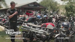 2016 Triumph Scrambler at Tampa Triumph