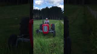 Massey 35 more mowing