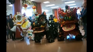 LION DANCE | EYE DOTTING CEREMONY #liondancekid