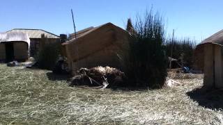 Floating islands of Uros, Lake Titikaka