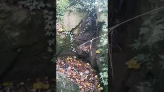 20181128 142738 lake 3 outfall