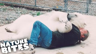 Polar Bear Kisses the Humans that Raised Her | Extraordinary Animal Behaviour | Nature Bites