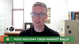 What helped push a post-holiday crop market rally