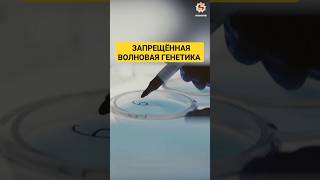 🧫 Клетки общаются сквозь стекло #генетика #излучение #крамола