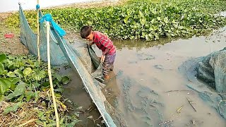 Little Boy Fishing bd.