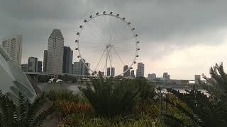 Great place to relax and enjoy beside flower dome singapore..#subscribe  @jonathansascvlog