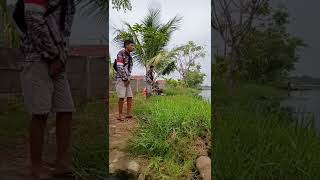 Mancing Mujair Pakai Umpan Legend Lumut #shorts