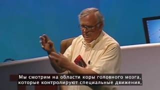 Майкл Мерзенич о перепрограммировании мозга