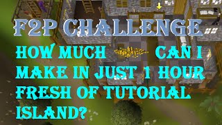 OSRS | F2P Challenge | How Much Gp Can I Make in 1 Hour From 0 gp Fresh Off Tutorial Island