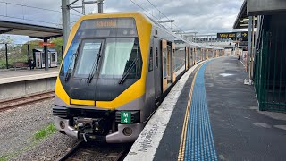 Sydney Trains Travel Series #42: Warwick Farm - Liverpool