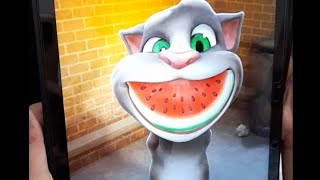 talking tom