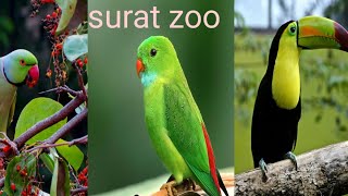 Surat visiting place zoo // Surat visiting place //zoo