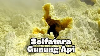 Keindahan Solfatara Kawah Gunung Api Papandayan