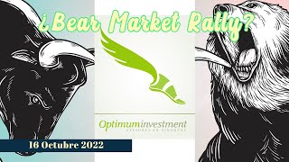 ¿Estaremos frente a un nuevo bear market rally?