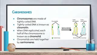 Biology: Video 6-1: Chromosomes