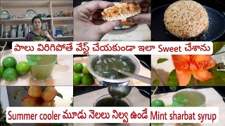 Summer Special|పాలు విరిగిపోతే నేను ఇలా చేస్తాను|మూడునెలలు నిల్వ ఉండే Mint sharbat syrup|teluguvlogs