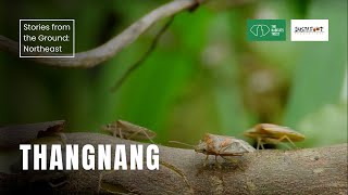 Thangnang | Stories from the Ground: Northeast India | The Habitats Trust Films