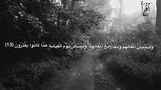 القارئ عبد الرحمن مسعد..سورة العنكبوت..مقاطع انستجرام🌸🌿