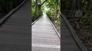 Cypress hammock boardwalk- Coral Springs FL