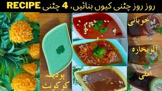 4 Make & Store Chatney For Ramzan | Ramadan Special Chatni Recipes | Homemade Chutney Recipes