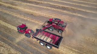 Canadian Foodgrains Bank Picture Butte Harvest 2021