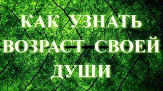 Как узнать возраст своей души ✧ Сколько лет душе ✧ Молодые и старые души ✧ Уровни души