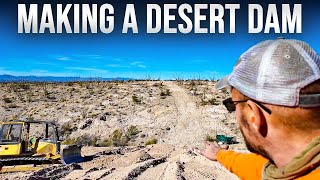 Pulling the Trigger on My Desert Forest Dream