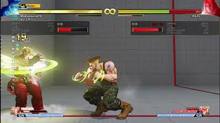 SFV MATAMUNE19 SONIC LOOP VER.631 DAMAGE