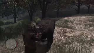 why cant i hunt elk in peace?