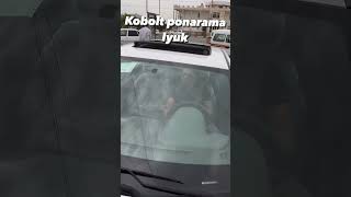 Kobalt ponarama Lyuk.....